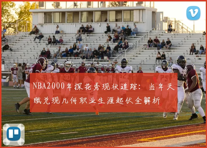 NBA2000年探花秀现状追踪：当年天赋兑现几何职业生涯起伏全解析