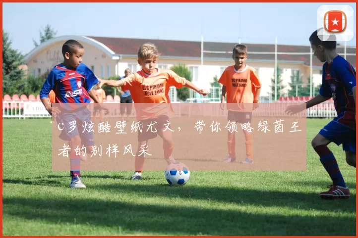 c罗炫酷壁纸尤文，带你领略绿茵王者的别样风采