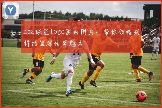 nba球星logo黑白图片，带你领略别样的篮球传奇魅力