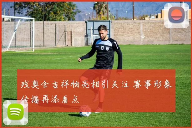 残奥会吉祥物亮相引关注 赛事形象传播再添看点